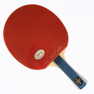 Raqueta De Ping Pong Palio Master Roja