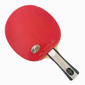 Raqueta De Ping Pong Palio Profesional