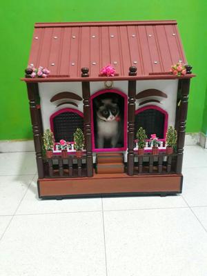 Casas para Perros Y Gatos