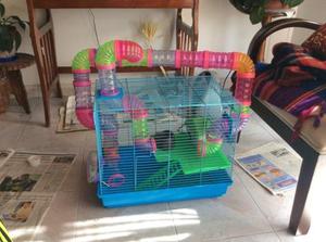 Casa Para Hamster Gigante con Tubos