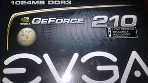 Tarjeta Nvidia Geforce GB DDR3