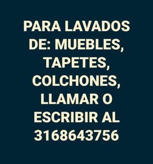 Se Lavan Muebles Tapetes Y Colchones