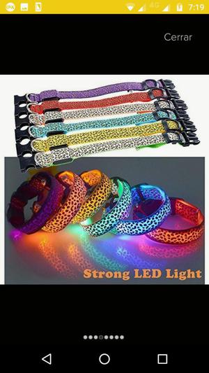 Vendo Collares con Luz Led Perros