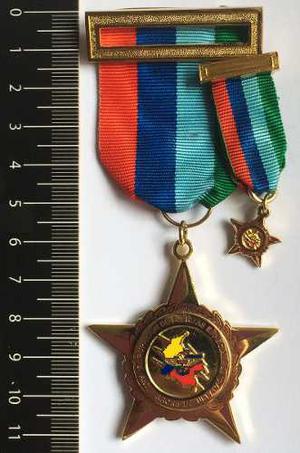 Medalla Condecoración Fuerzas Especiales Y Comandos