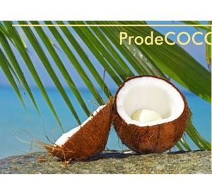Extracto de Coco 100% Natural