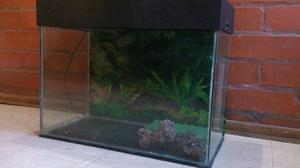 Acuario De 70 Litros (62x30x40) Con Tapa Y Luz