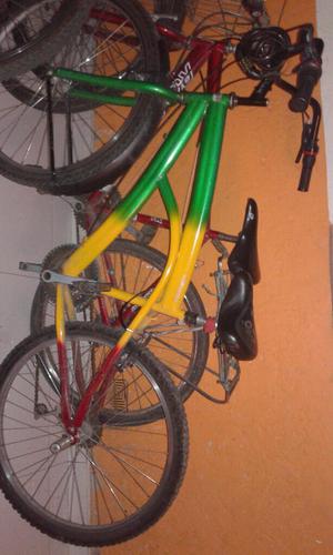 Bicicleta con Cambios Color Rasta