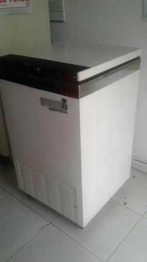 Congelador Indufrial 150 Litros
