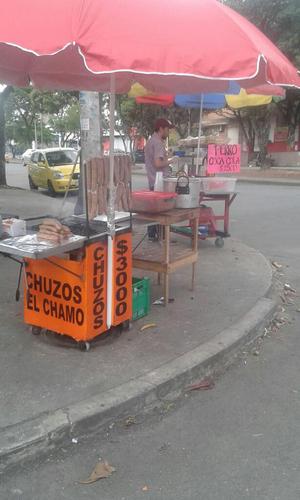 Vendo Carro de Chuzos