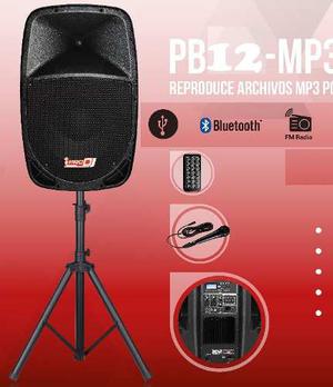 Sistema De Audio Mp3 Parlante 12 - Cabina + Base +