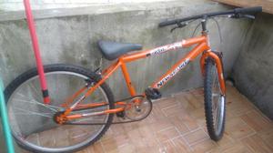 Bicicleta Muy Varata