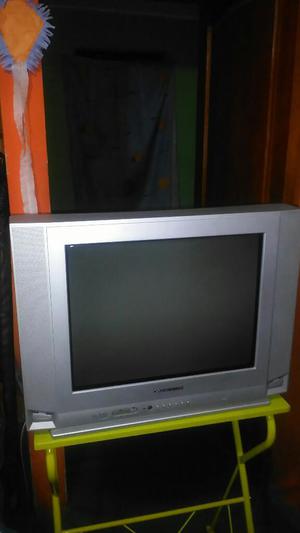 Se Vende Televisor