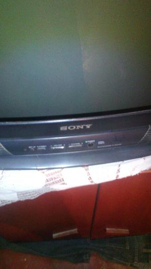 Se Vende Tv Sony 29 Plgdas