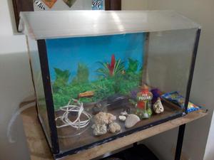 Acuario Completo