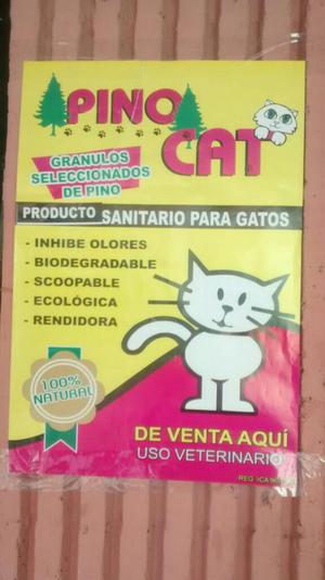 Arena Pinocat para Gatos