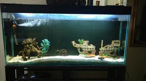 Vendo Acuario Pecera 224litros