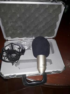 Microfono B1