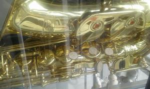 Saxofon Alto Evolution con Accesorios...