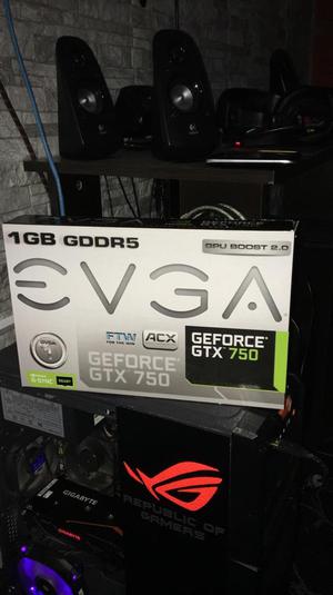 Evga Gforce 750 Dual Fan