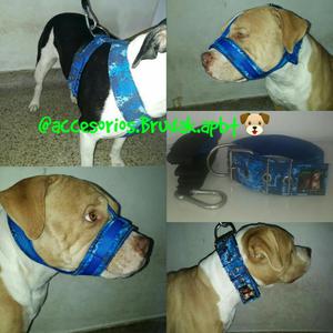 Pitbull Collares Y Razas Fuertes