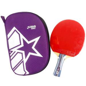 Raqueta Tenis De Mesa Ping Pong Dhs-a-