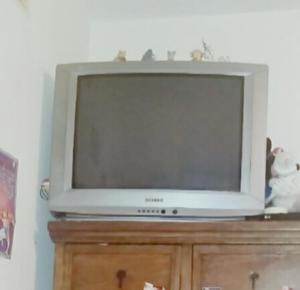 Televisor Samsung 30 Pulgadas