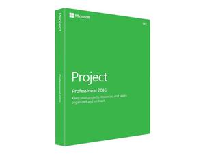 Project Professional  Bits Licencia Original