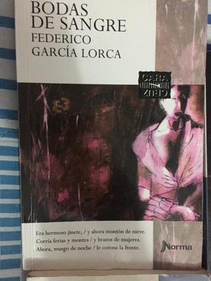 Bodas de Sangre Federico Garcia Lorca