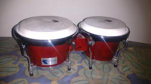 Bongos Blue Eagle