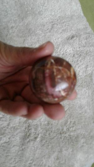 Esfera Madera Petrificada