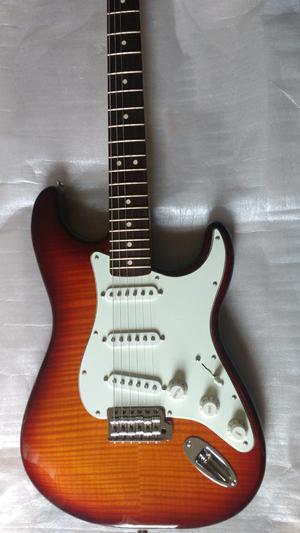 Fender Stratocaster Mim Plus Top