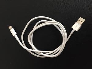 Cable Original Apple