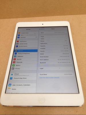 iPad Mini 32 Gigas Wifi