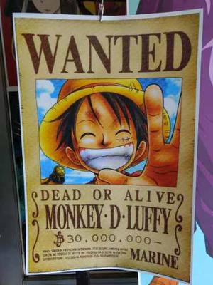 Cartel Monkey D. Luffy - Primer Cartel One Piece