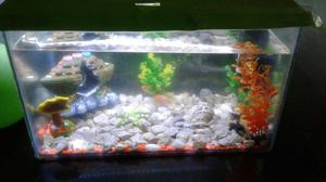 Vendo Acuario Completo Cucuta 70 Litros