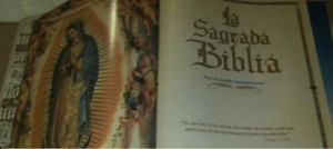 Sagrada Biblia Católica ilustrada full color borde dorado