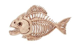 Loco Bonez Esqueleto De Los Pescados