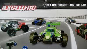 Carro Exceed.rc Todoterreno Electrico