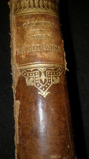Libro Antiguo de Botanica 