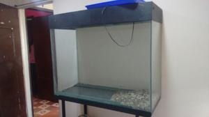 Acuario en Vidrio