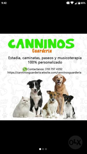 Guardería Caninos