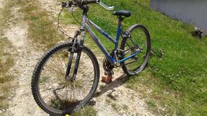 Bicleta todo terreno y triciclo para Adulto