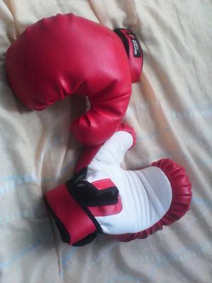 Vendo Estos Guantes de Boxeo