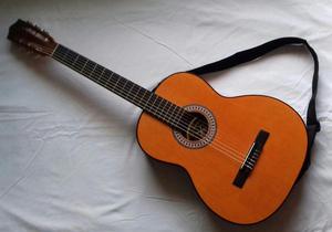 Excelente Guitarra Acustica Nueva Sin Usar con Estuche,
