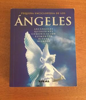 Libro Angeles