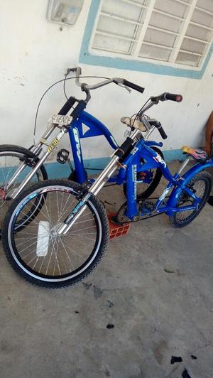 Vendo Mis Hermosas Choppers