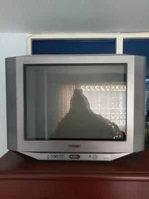 Televisor Sony Wega 21 Pulgadas