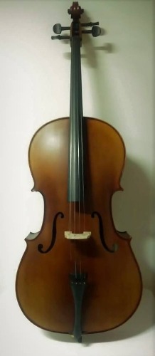 Violonchelo Cg106 Marca Aileen