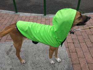 IMPERMEABLE PARA PERROS
