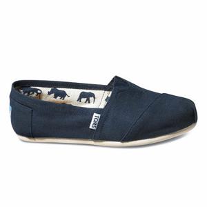 Zapatos Toms Canvas Hombre